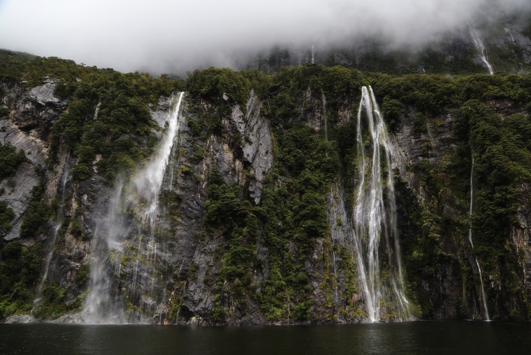 Isla Magnolia Photography, Milford Sound, New Zealand, Travel